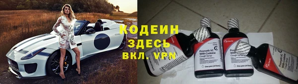 шишки Вяземский