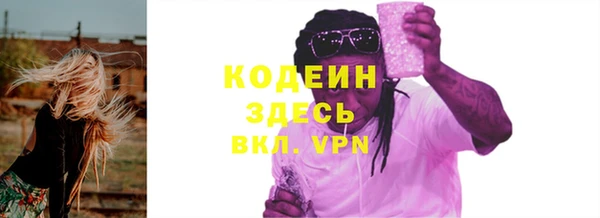 шишки Вяземский