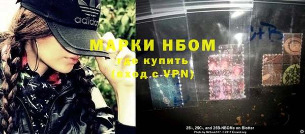 стаф Володарск