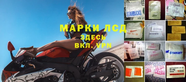 стаф Володарск
