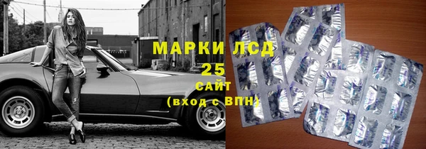 стаф Володарск