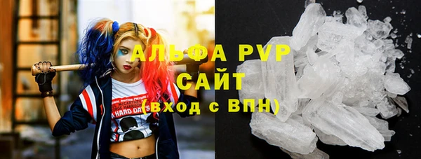 шишки Вяземский