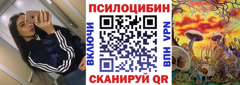 где можно купить наркотик  Лагань  Псилоцибиновые грибы Psilocybe 